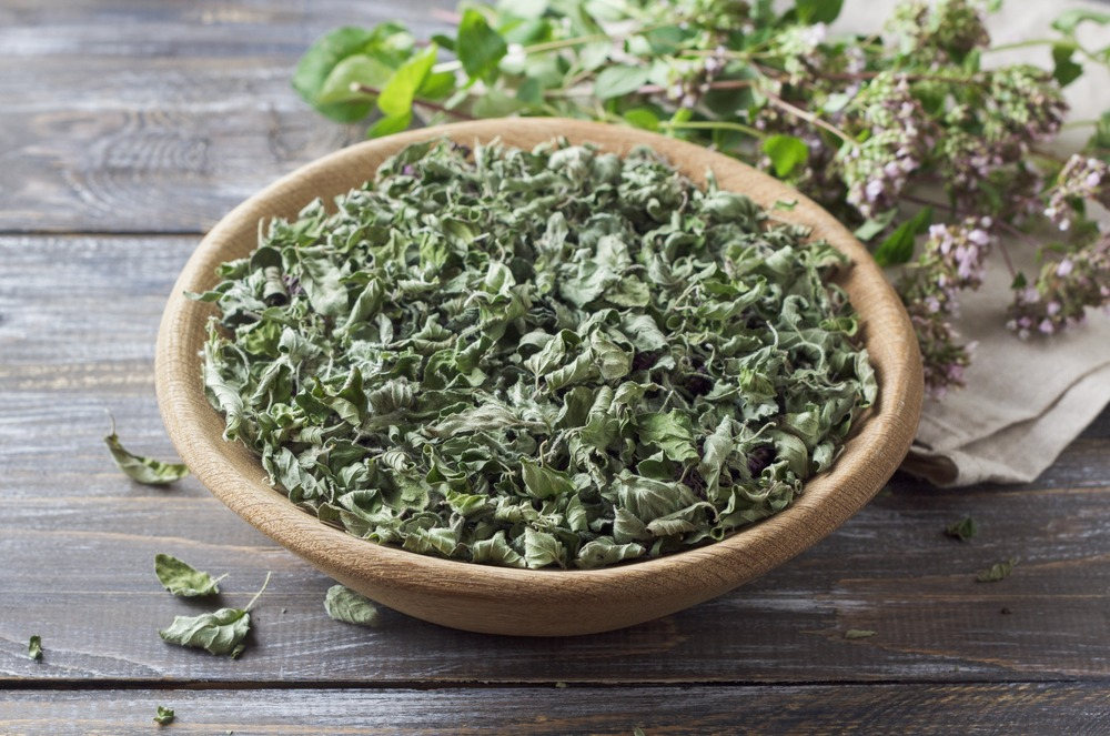 Oregano - Tavshava in Georgia