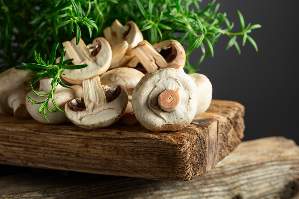 Mushroom