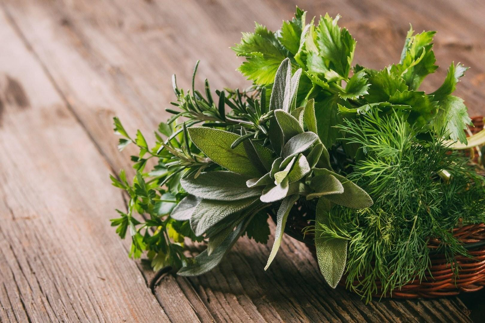 Rules for Storing Herbs