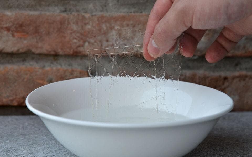chef