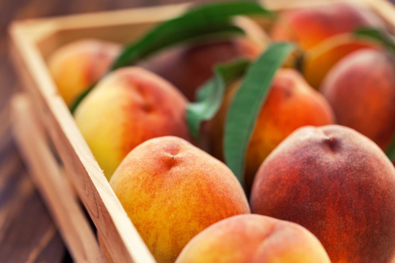uploads/peach-large-e8a8c780.jpeg